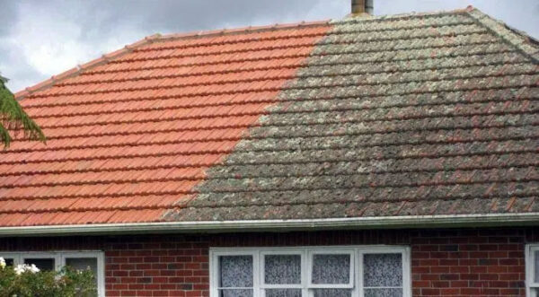 Wet Forget Mould Removal And Cleaning Solutions RoofBros   Roofing Services Clean 600x331 