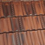 Tanbark